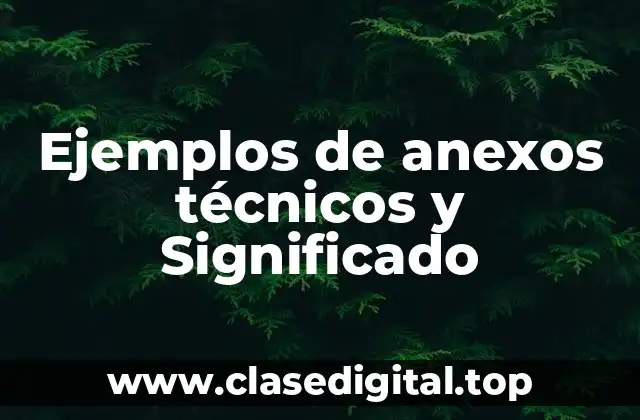 Ejemplos de anexos técnicos y Significado