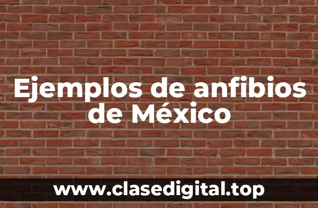 Ejemplos de anfibios de México