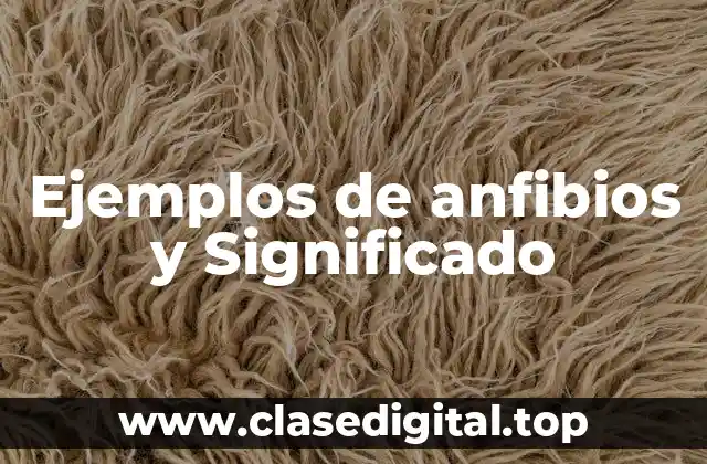 Ejemplos de anfibios y Significado