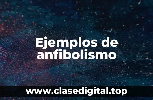 Ejemplos de anfibolismo