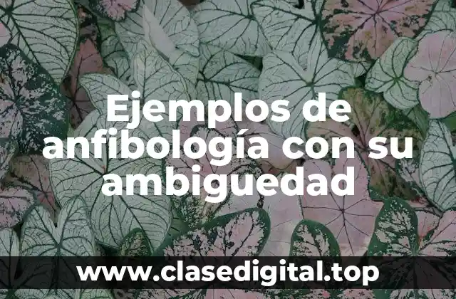 Ejemplos de anfibología con su ambiguedad
