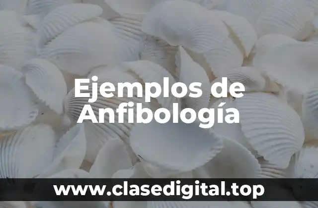Ejemplos de Anfibología