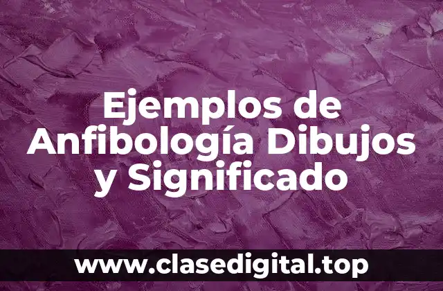 Ejemplos de Anfibología Dibujos y Significado
