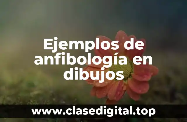 Ejemplos de anfibología en dibujos