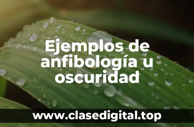 Ejemplos de anfibología u oscuridad