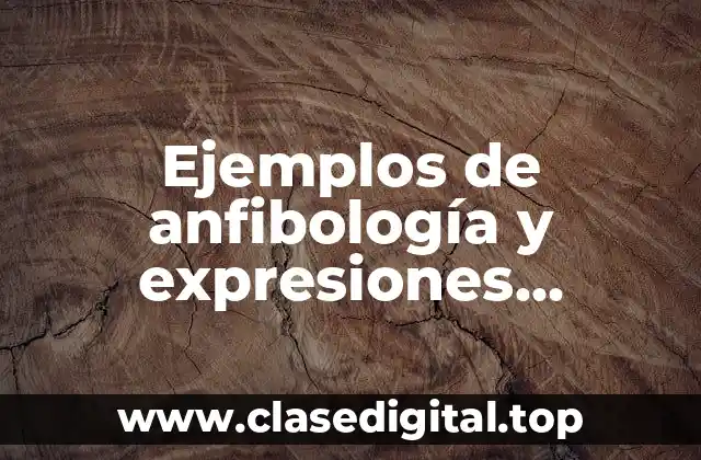Ejemplos de anfibología y expresiones equívocas