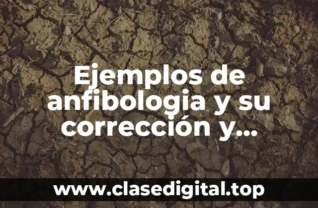 Ejemplos de anfibologia y su corrección y Significado