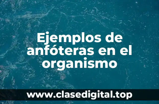 Ejemplos de anfóteras en el organismo