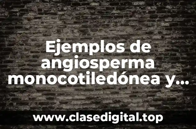 Ejemplos de angiosperma monocotiledónea y Significado