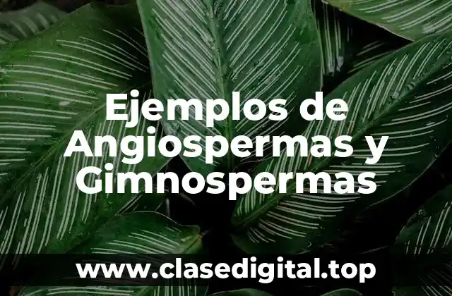 Ejemplos de Angiospermas