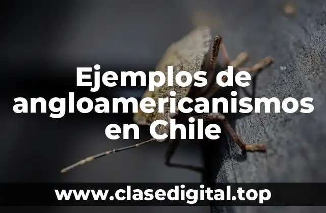Ejemplos de angloamericanismos en Chile