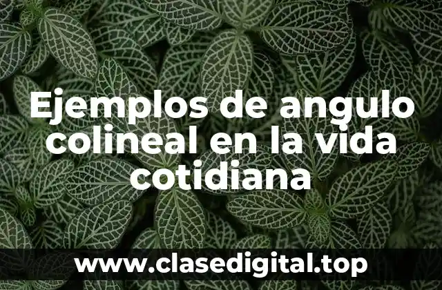 Ejemplos de angulo colineal en la vida cotidiana