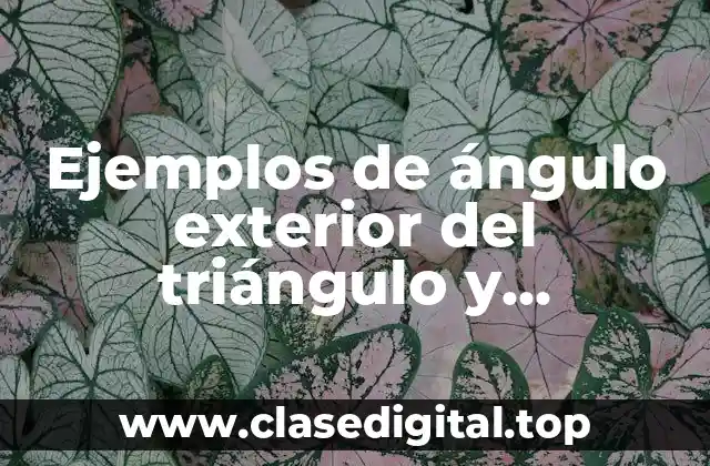 Ejemplos de ángulo exterior del triángulo y Significado