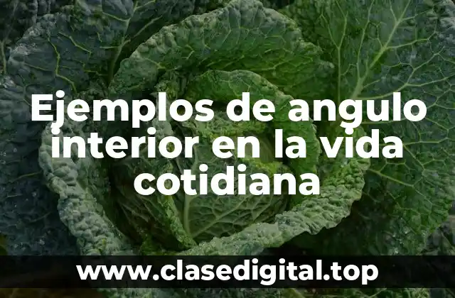 Ejemplos de angulo interior en la vida cotidiana