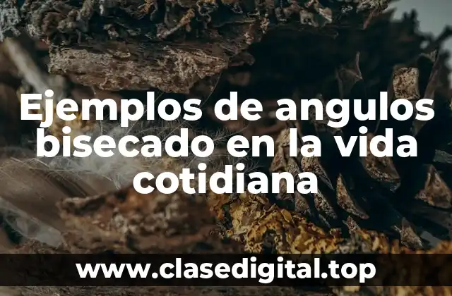 Ejemplos de angulos bisecado en la vida cotidiana