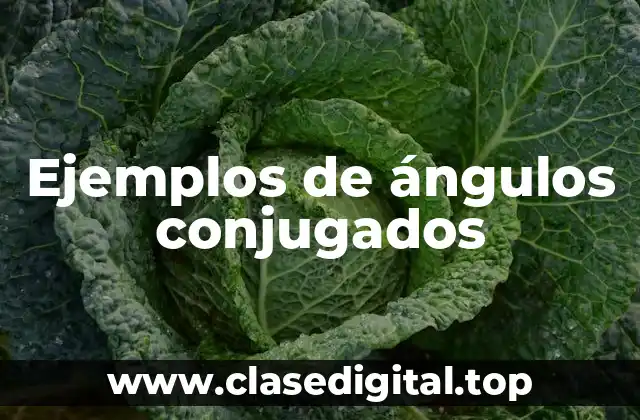 Ejemplos de ángulos conjugados