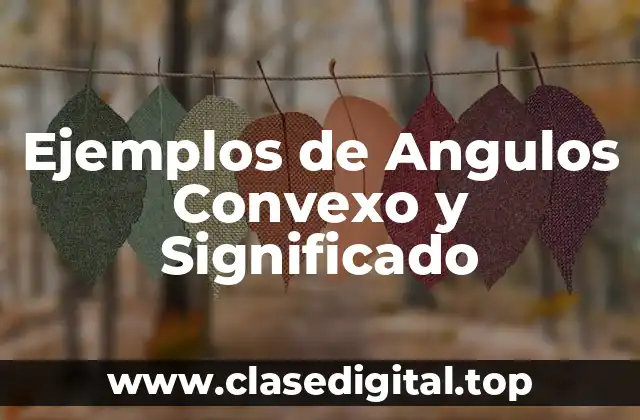 Ejemplos de Angulos Convexo y Significado