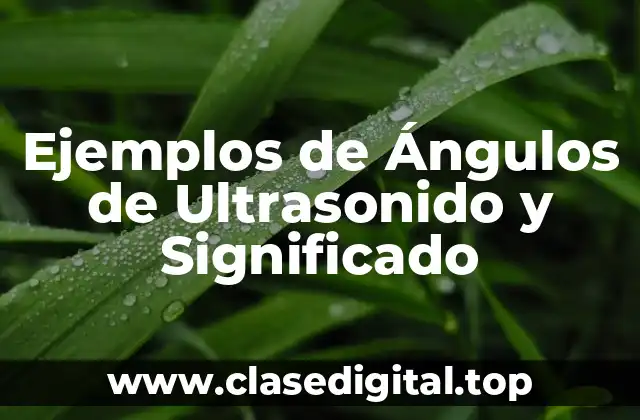 Ejemplos de Ángulos de Ultrasonido y Significado