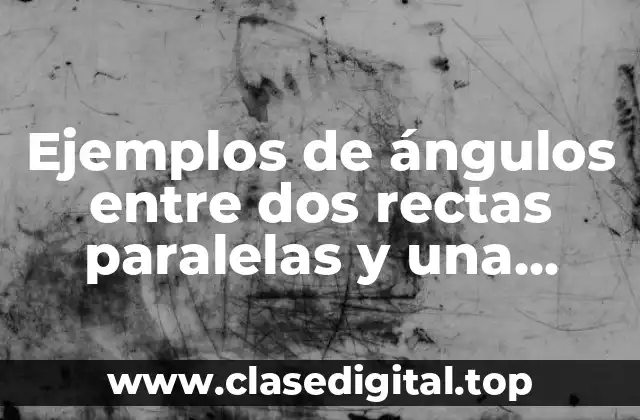 Ejemplos de ángulos entre dos rectas paralelas y una secante y Significado