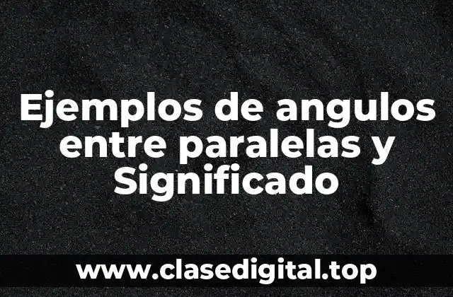 Ejemplos de angulos entre paralelas y Significado