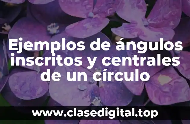 Ejemplos de ángulos inscritos y centrales de un círculo