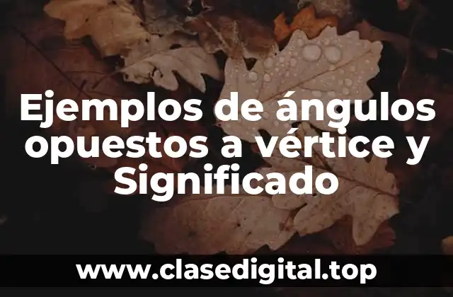 Ejemplos de ángulos opuestos a vértice y Significado