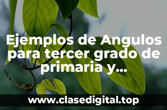 Ejemplos de Angulos para tercer grado de primaria y Significado