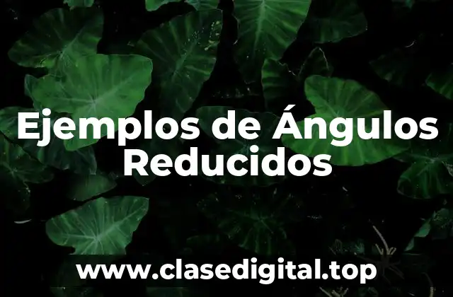 Ejemplos de Ángulos Reducidos