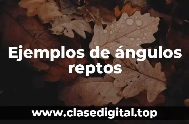 Ejemplos de ángulos reptados