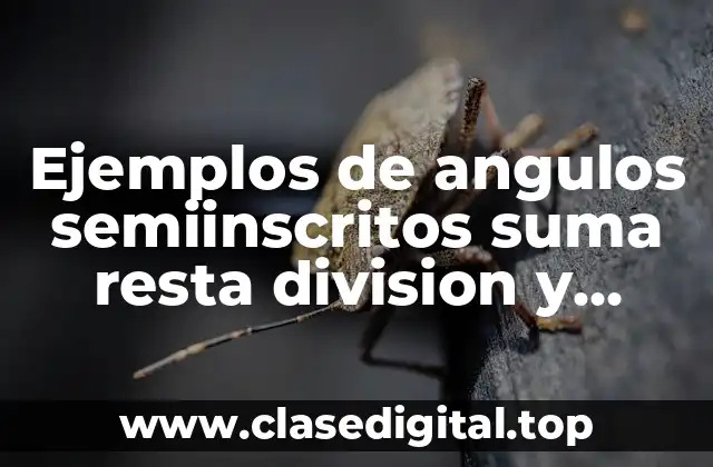 Ejemplos de ángulos semiinscritos