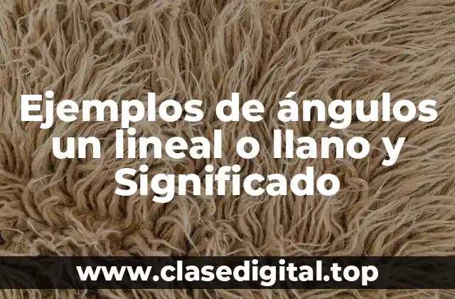 Ejemplos de ángulos un lineal o llano y Significado