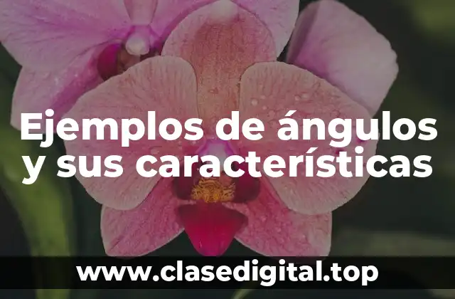 Ejemplos de ángulos y sus características