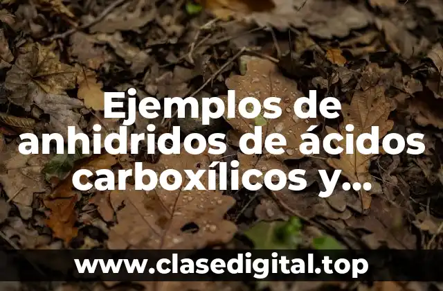 Ejemplos de anhidridos de ácidos carboxílicos y Significado