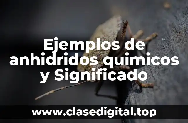 Ejemplos de anhidridos quimicos y Significado