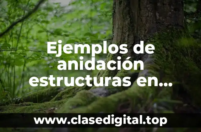 Ejemplos de anidación estructuras en computación y Significado