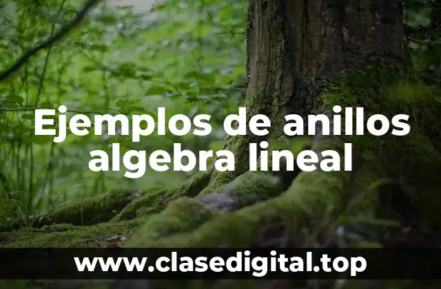 Ejemplos de anillos algebra lineal