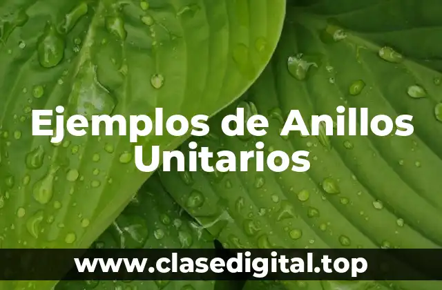 Ejemplos de Anillos Unitarios