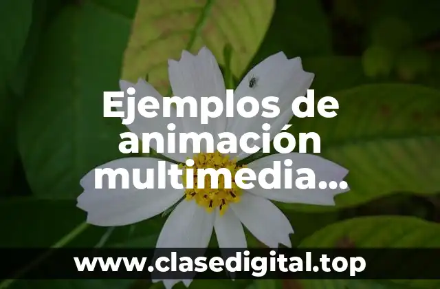 Ejemplos de animación multimedia informática