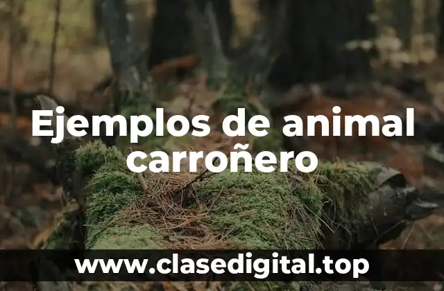 Ejemplos de animal carroñero