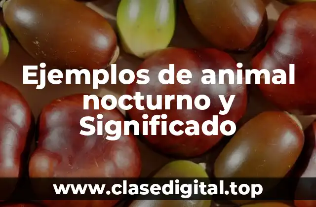 Ejemplos de animal nocturno y Significado