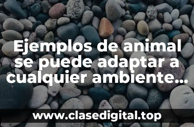 Ejemplos de animal se puede adaptar a cualquier ambiente y Significado