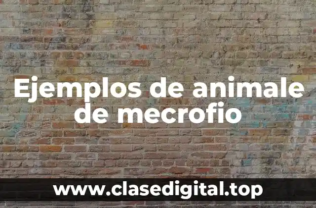 Ejemplos de animale de mecrofio
