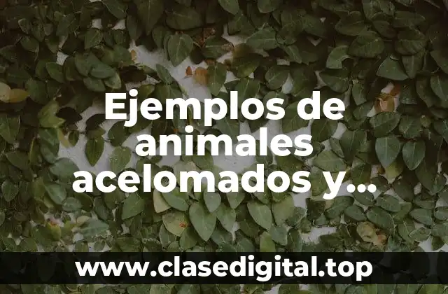 Ejemplos de animales acelomados y celomados