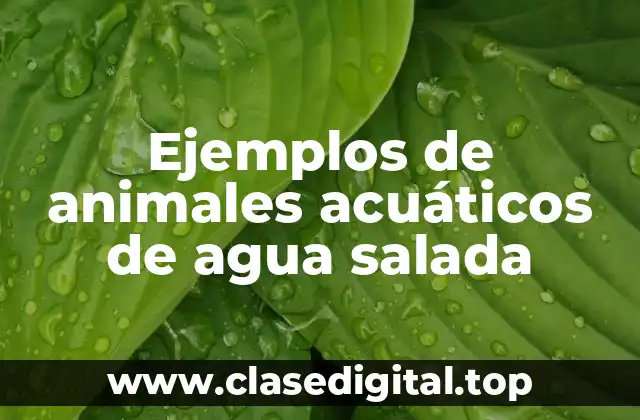 Ejemplos de animales acuáticos de agua salada