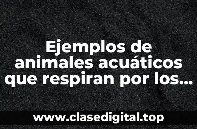 Ejemplos de animales acuáticos que respiran por los pulmones