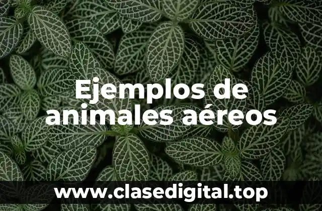 Ejemplos de animales aéreos