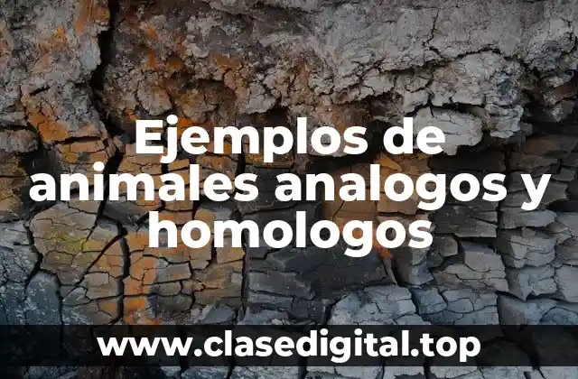 Ejemplos de animales analogos y homologos