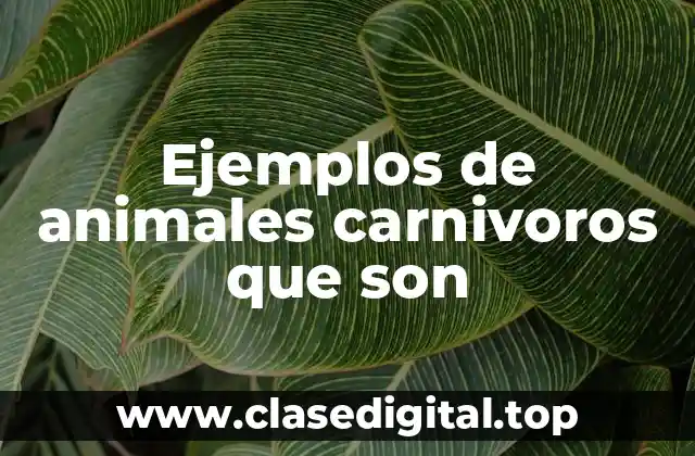 Ejemplos de animales carnivoros que son
