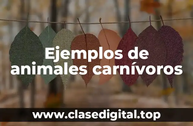 Ejemplos de animales carnívoros