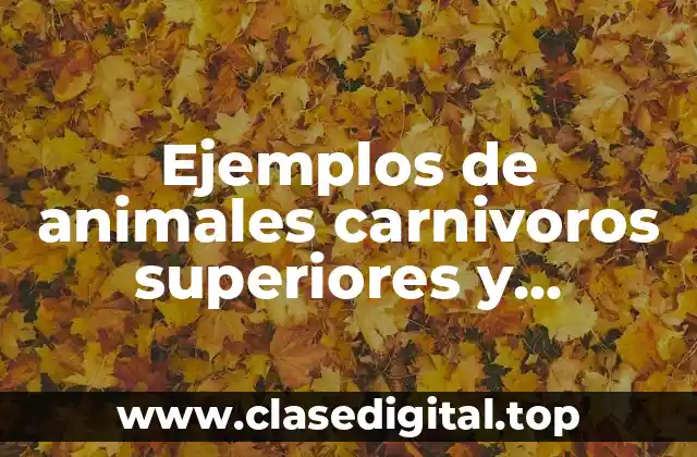 Ejemplos de animales carnivoros superiores y Significado